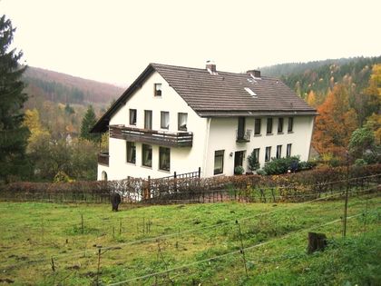 Wohnung Mieten In Holzminden Immoscout