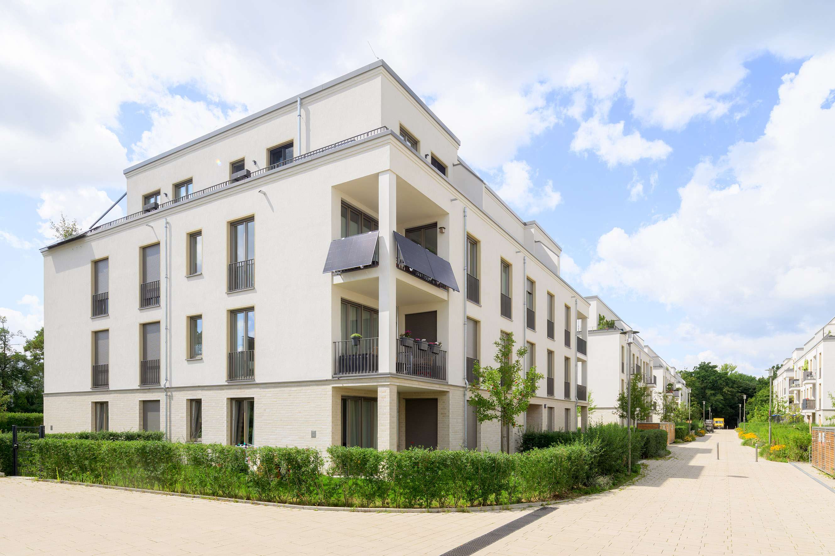 Zaunkönige - Berlin