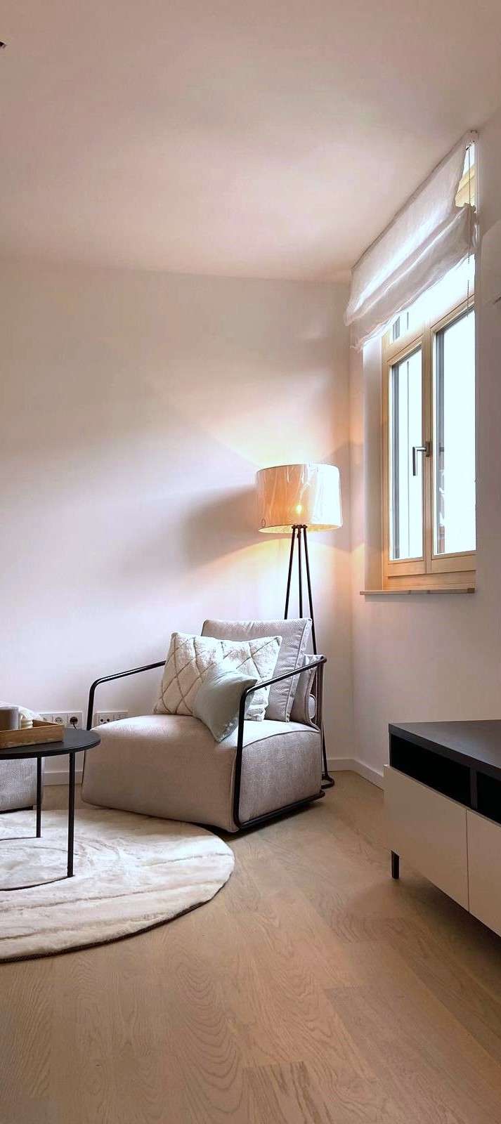 DAS PLANEGGER  IN  PASING - Pasing