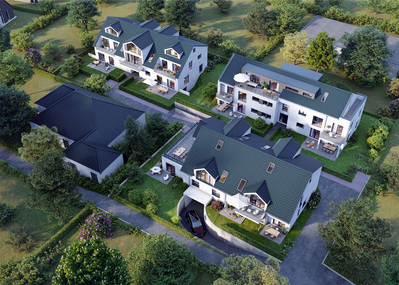 Braunschweig- Schapen - Braunschweig