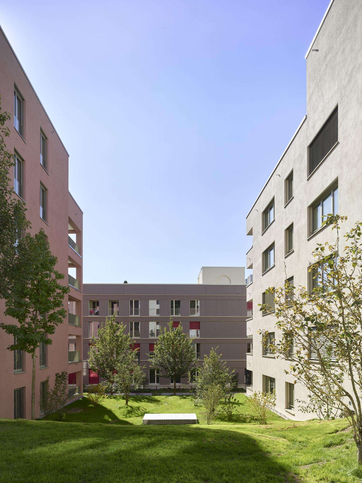 Ein neuer Lebensraum für Ravensburg - Ravensburg