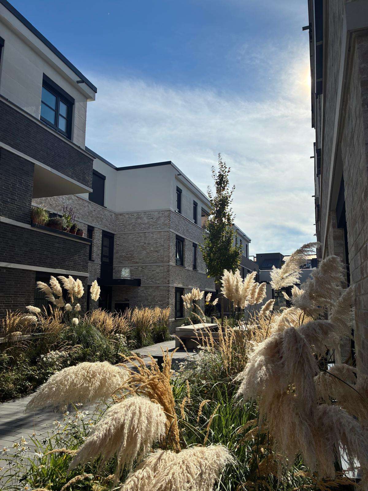 MOTHES KARREE - Düsseldorf
