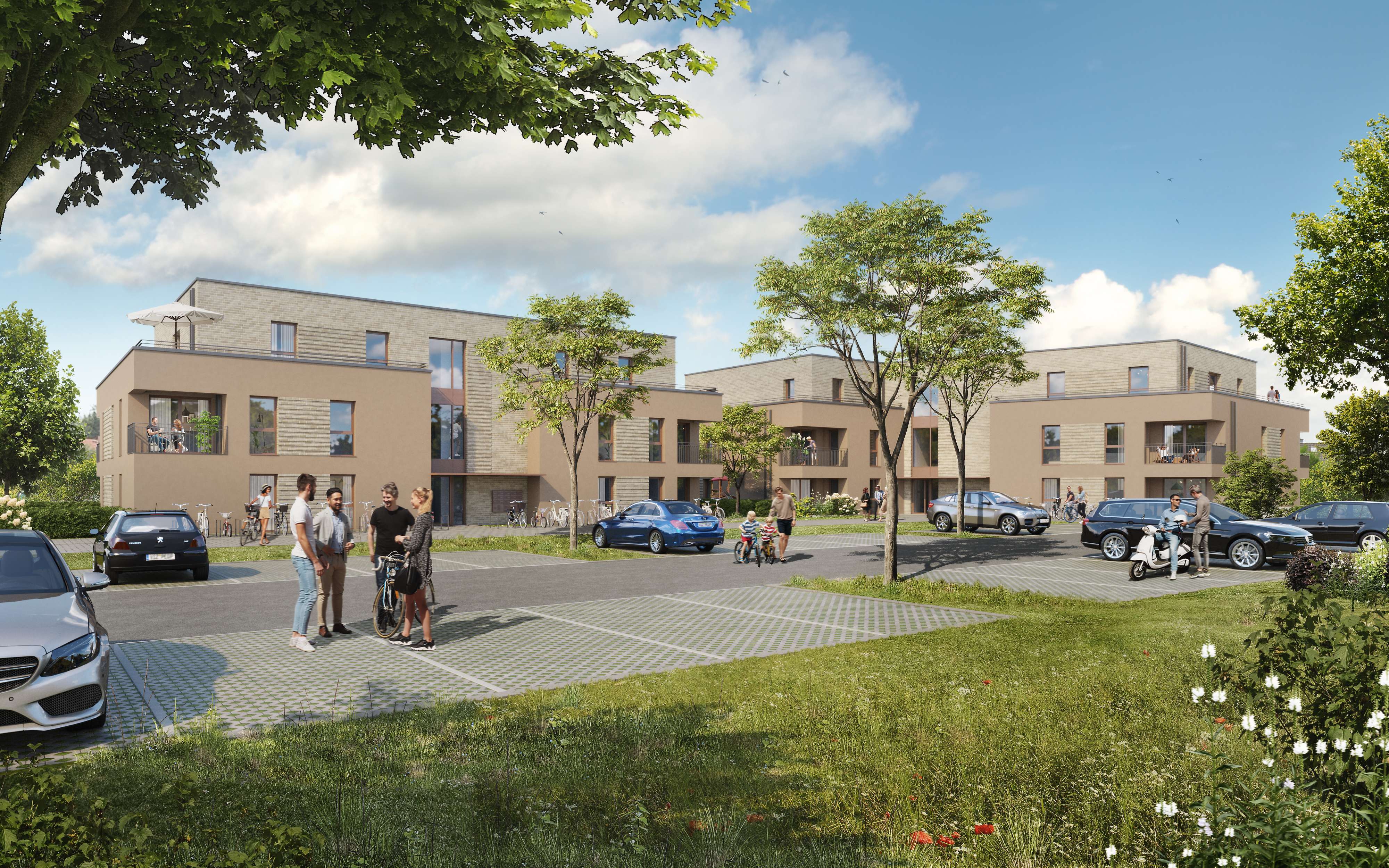 Neubauprojekt Queller Str. - Steinhagen - Steinhagen