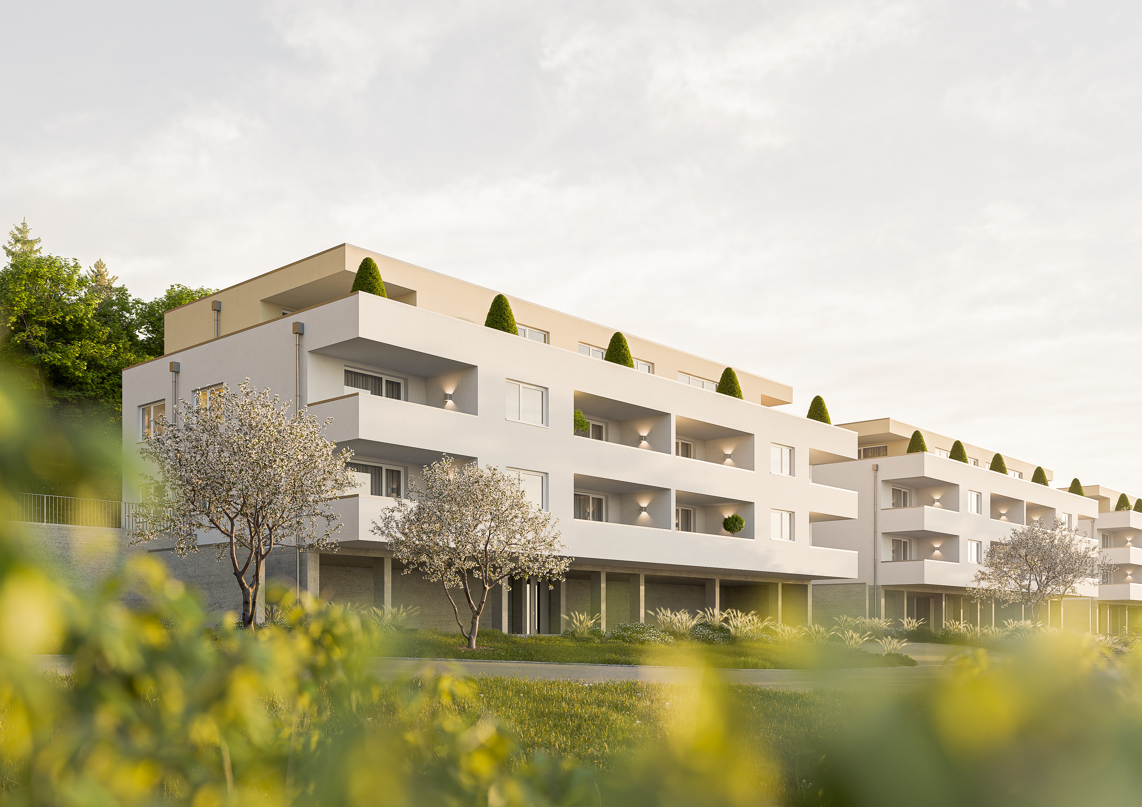 Projektvertrag Heimenkirch