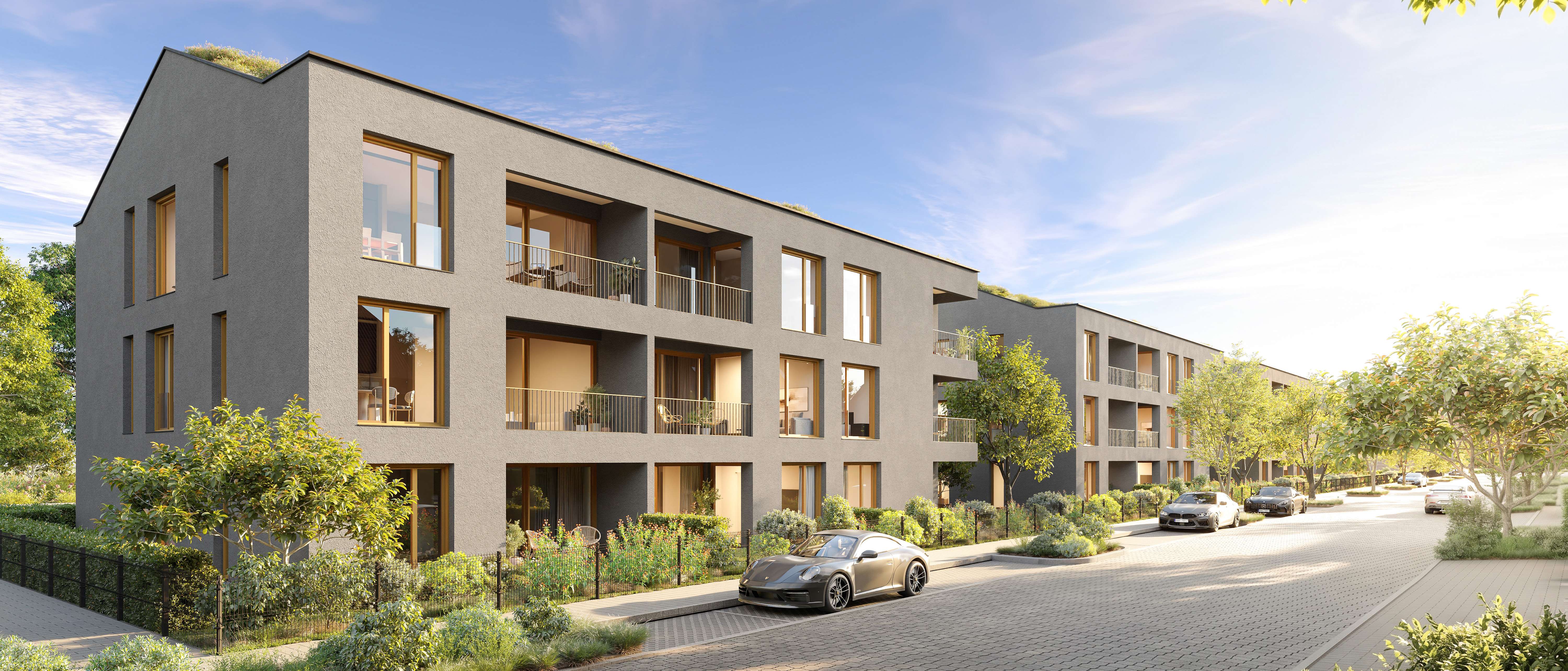 Molea - Quartier am Mühlenanger - Schulzendorf
