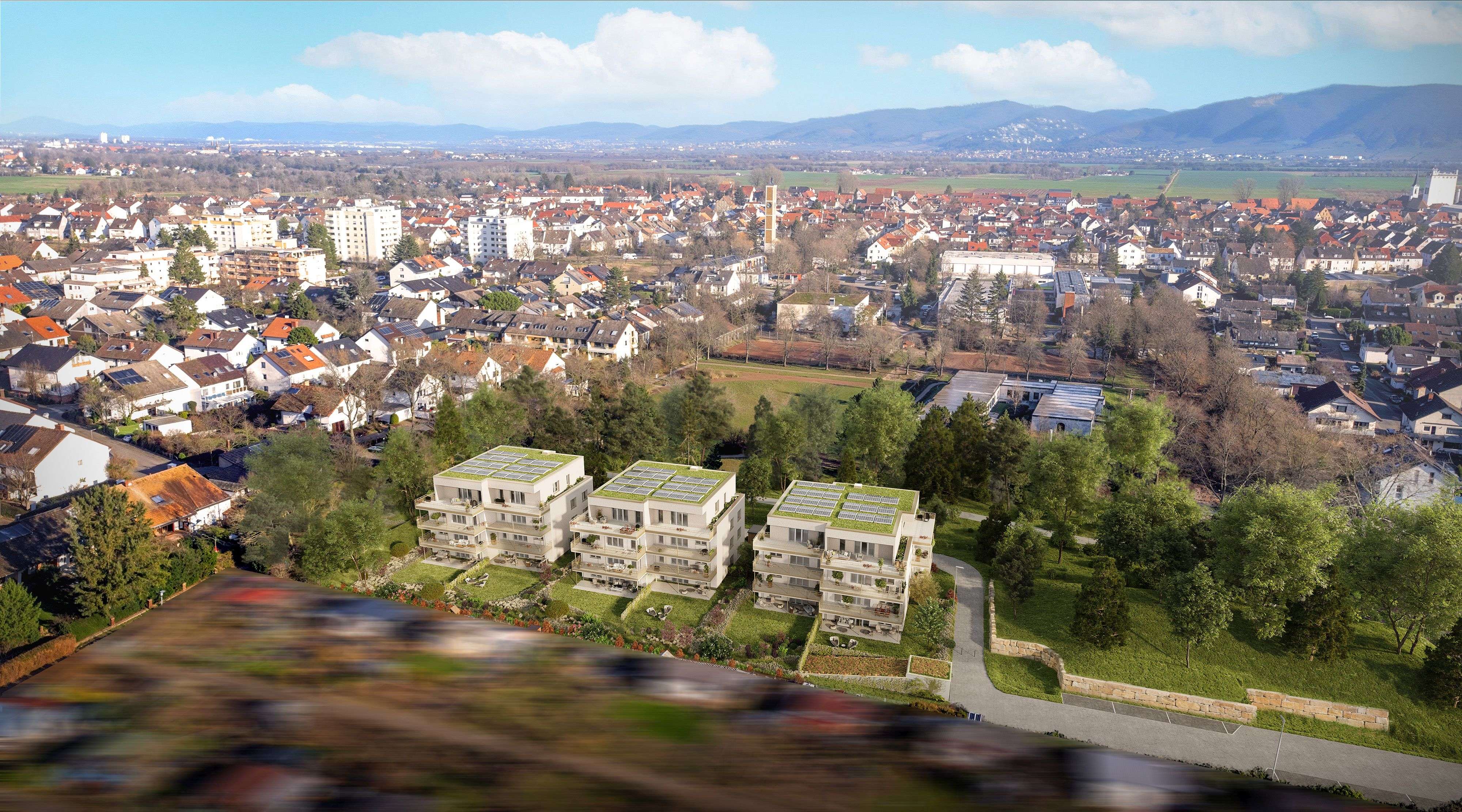 TRIO VERDE Edingen - Edingen-Neckarhausen