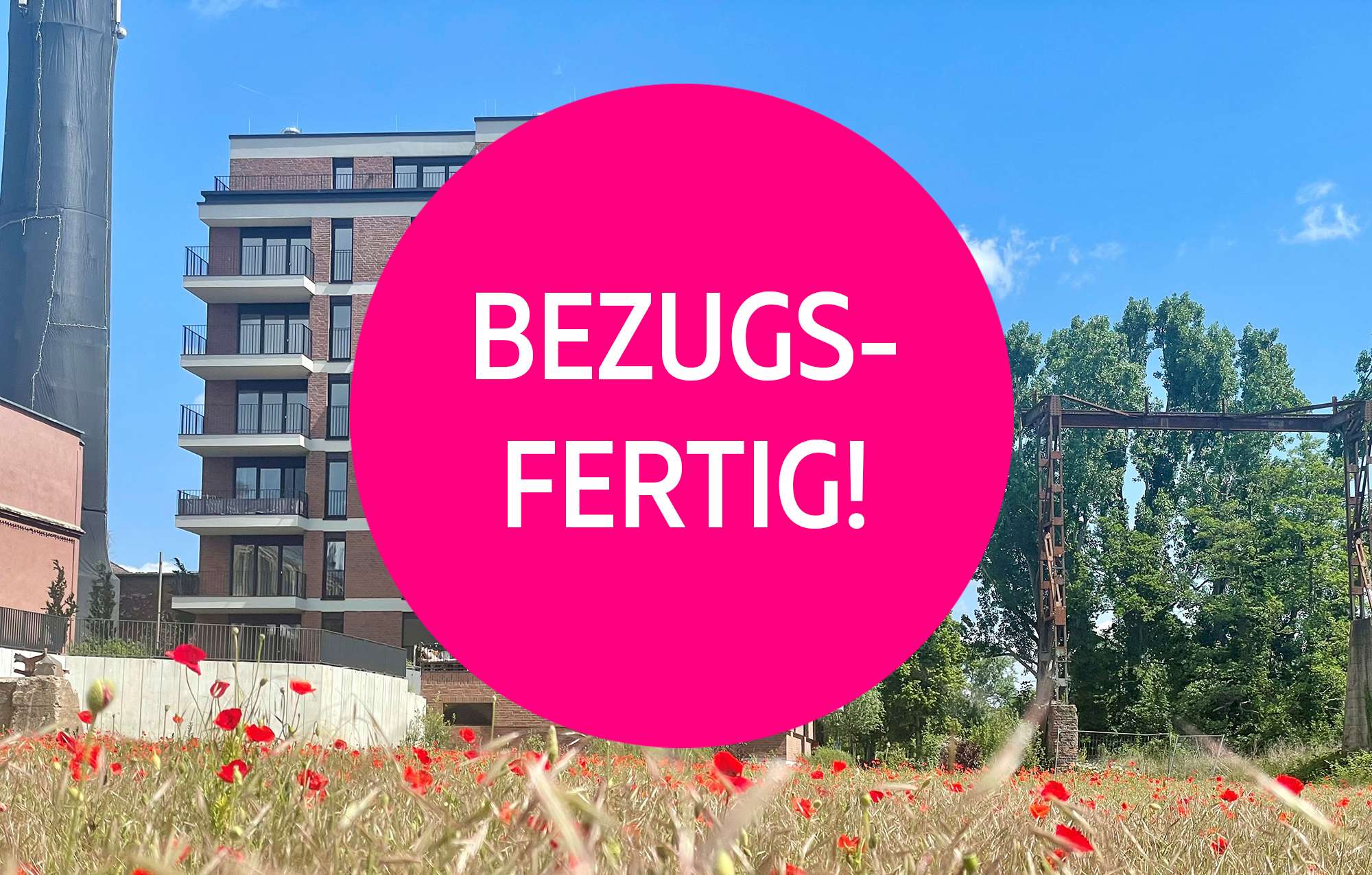 MAINANKER Hattersheim am Main - Hattersheim