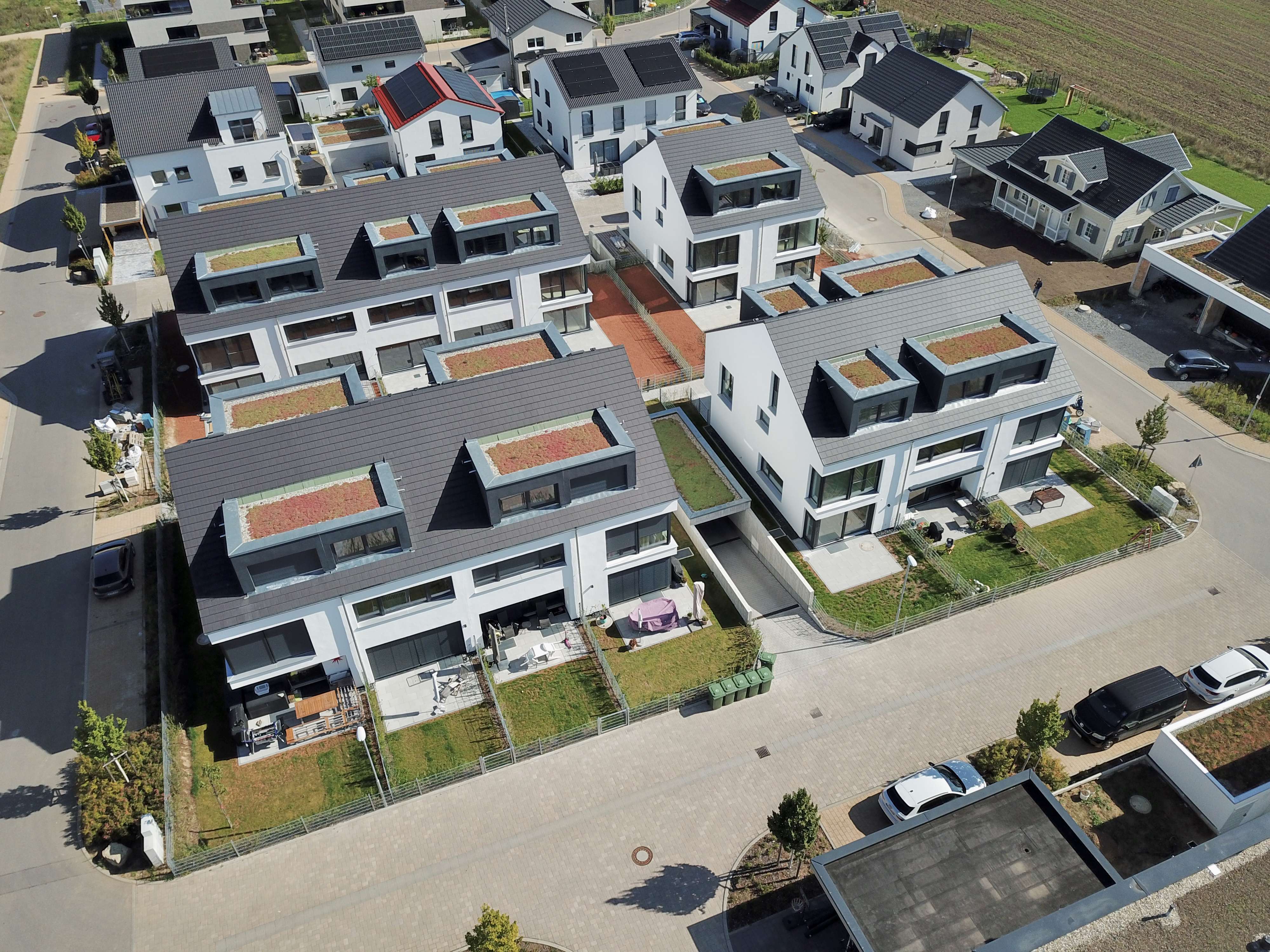 Freudental-Alleenfeld - Freudental