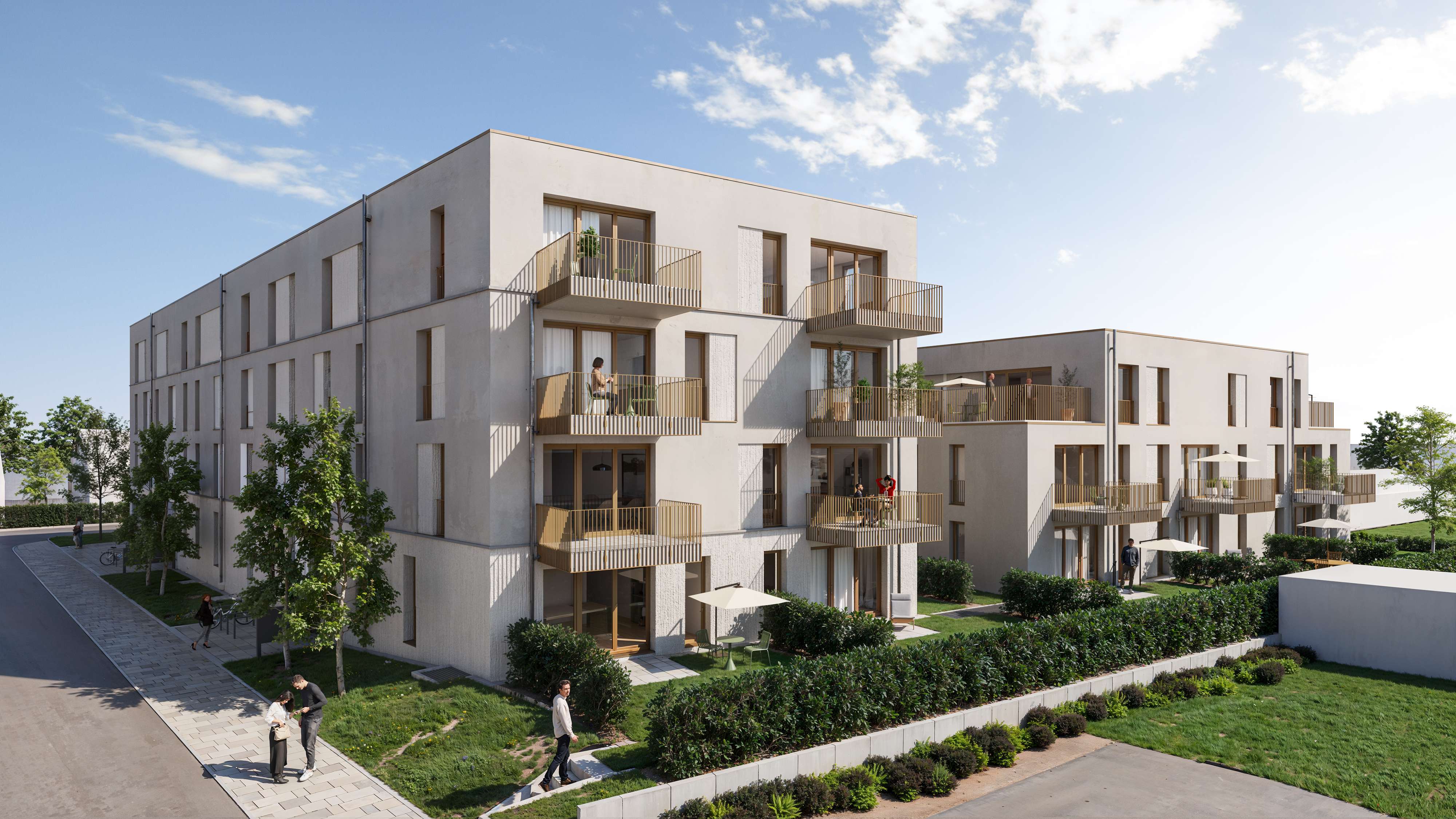 Krokus Carré Stutensee