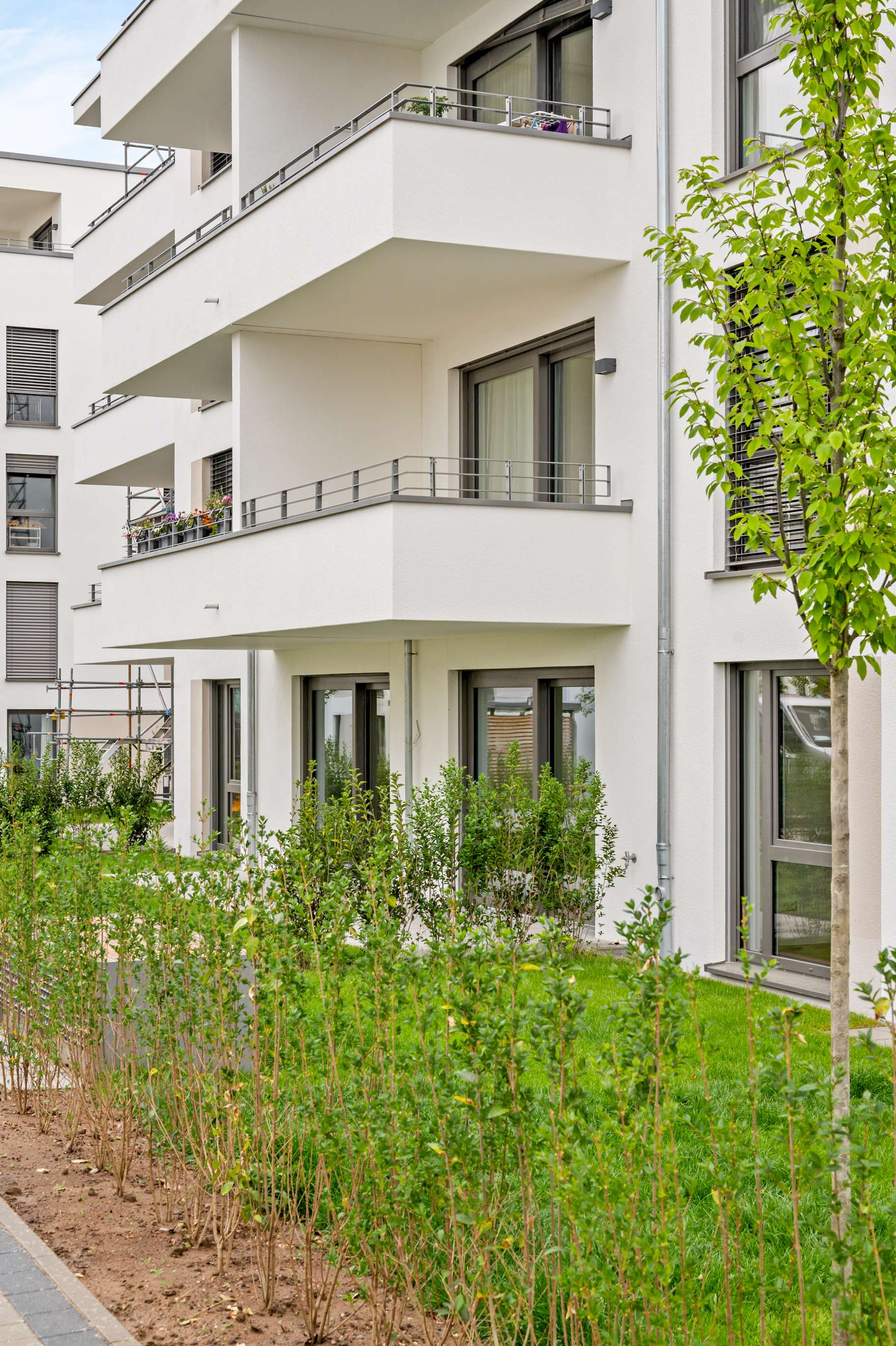 QUARTIER an der OPPENHEIMER! - Nieder-Olm