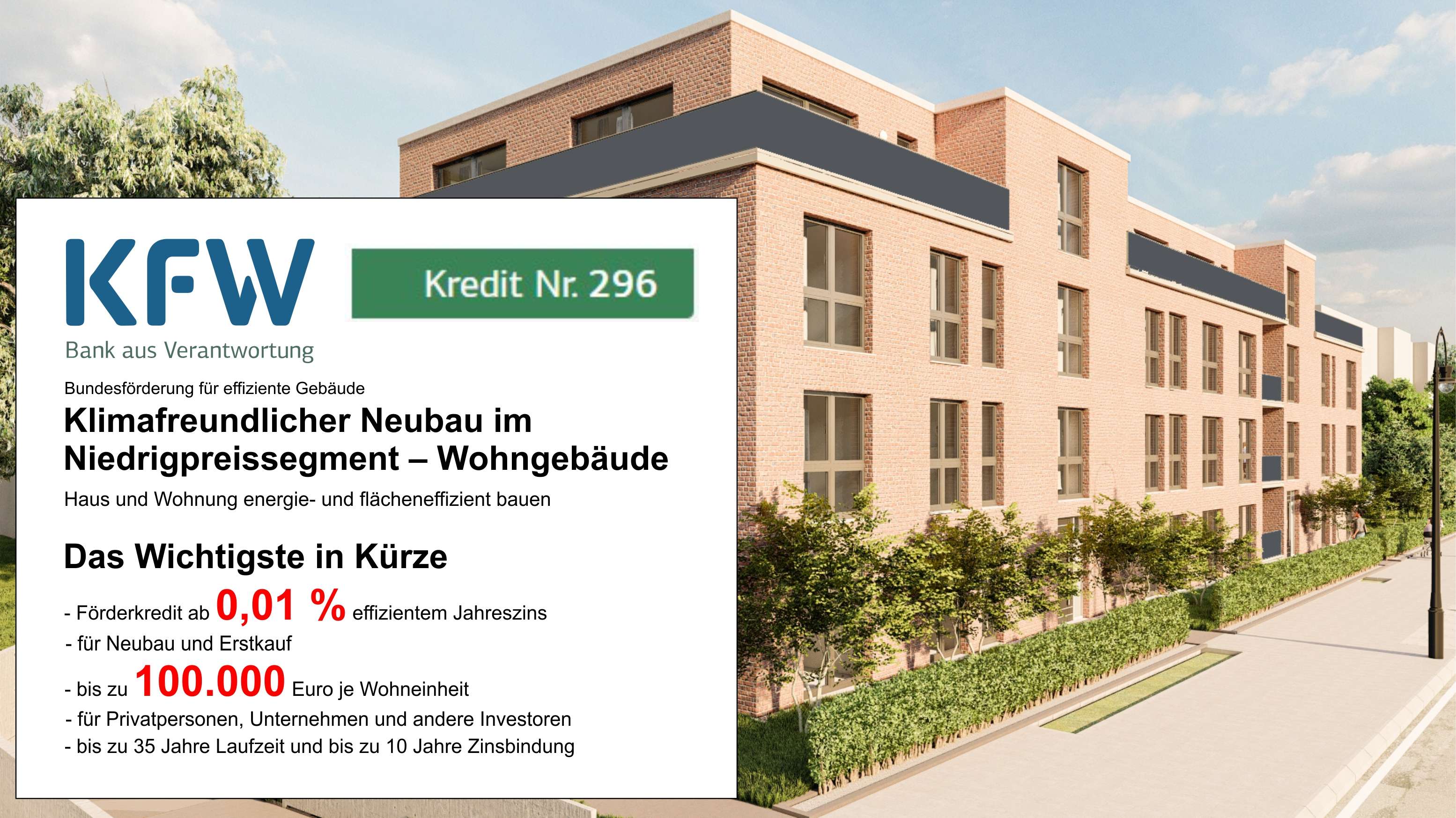 LIGUSTER CARRÉ - Kamp-Lintfort