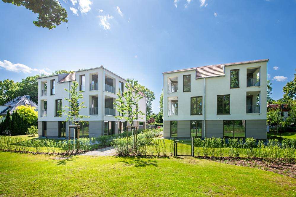 Neue Linde in Glienicke/Nordbahn