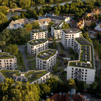 Grün, so weit das Auge reicht