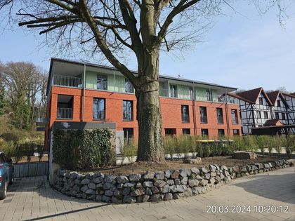 Wohnung mieten in ÜbachPalenberg ImmoScout24