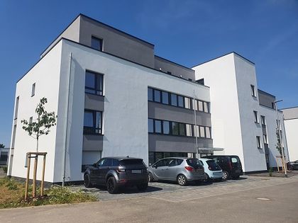 Sitemapcdatahttpswwwkedriinfohaus Mieten Kreis Heinsbergnull