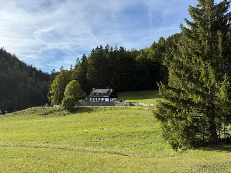 RARITÄT IM FADENTAL 