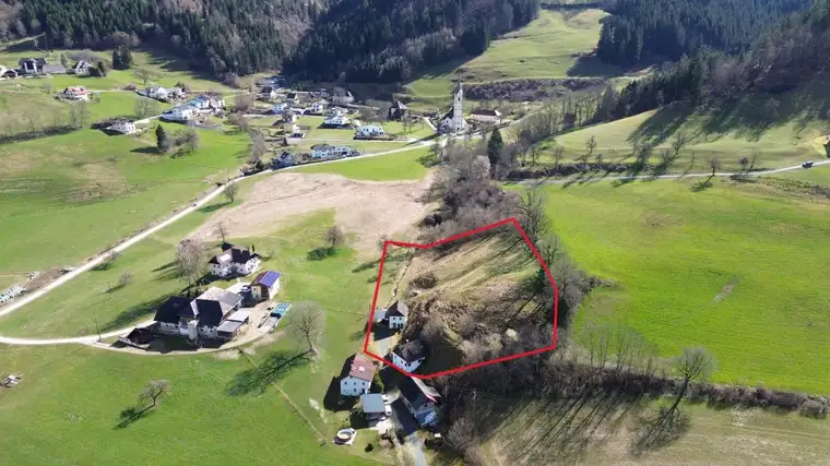 Ruhe finden, Natur leben – charmantes Landhaus samt Stallung + idyllische Ruhelage - St. Walburgen