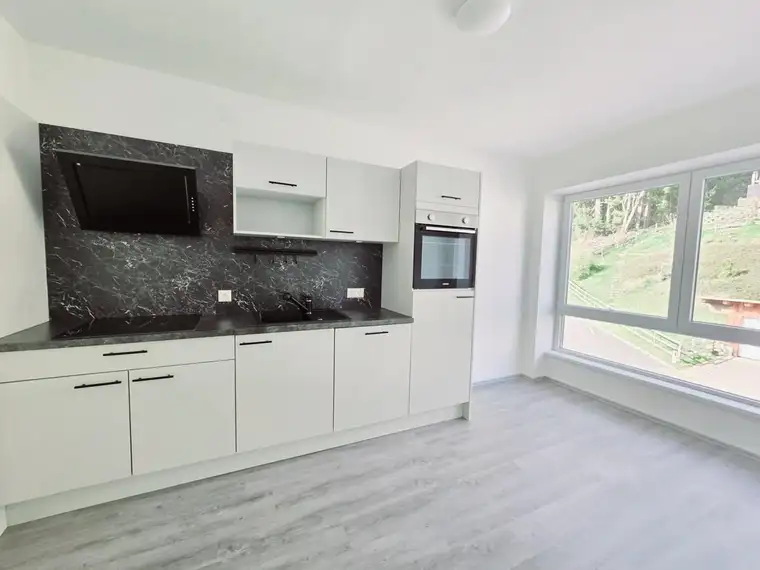 Renovierte 2-Zimmer Wohnung mit Küche in Sonnwiesen