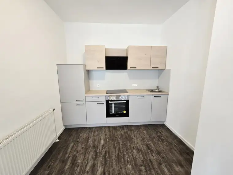 Neu renovierte 2-Zimmer Wohnung mit Küche