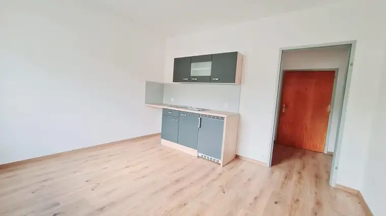 Geräumige neu renovierte Single-Wohnung in Spittal