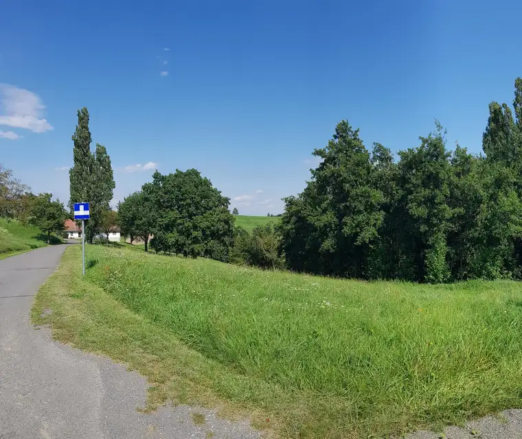 Baugrundstück mit 1800 m² in der Südoststeiermark