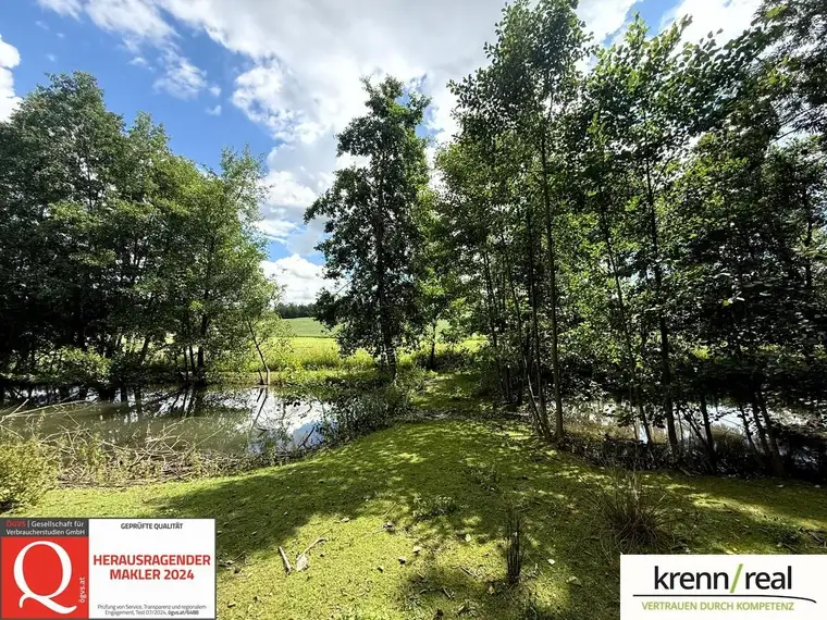 Grundstück mit 2 Fischteichen &amp; Wald - ca. 3.000 m²