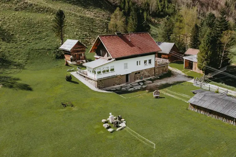Karl Lukas Lassacher, Edelweiß Immobilien
