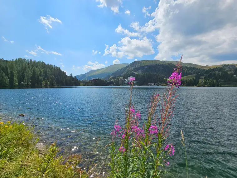 Ski in - Ski out am Turracher See!