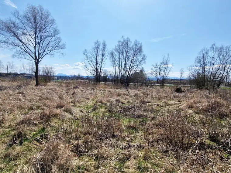 Baugrund für Ihr Wohn-, bzw. Gewerbeprojekt in Timelkam