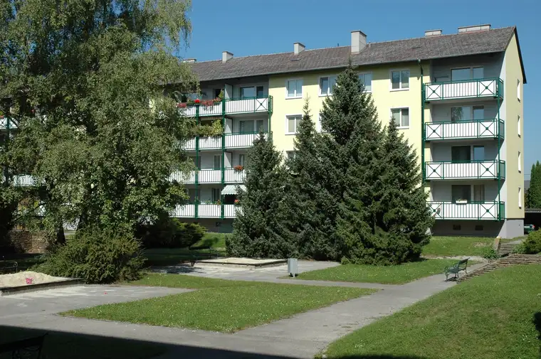 Bettina Weiss, Allgemeine gemeinnützige Wohnungsgenossenschaft e.Gen.m.b.H.