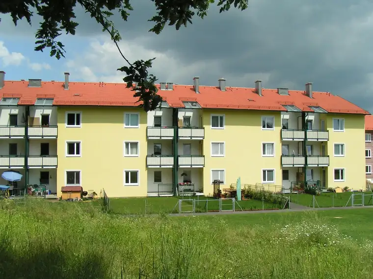 Bettina Weiss, Allgemeine gemeinnützige Wohnungsgenossenschaft e.Gen.m.b.H.