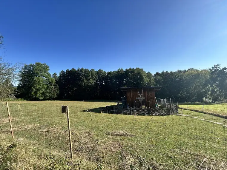 Großzügiges Wildgehege, Fischteich mit Wasserecht ca. 6476m² in Kirchstetten – gepflegt und vielseitig!
