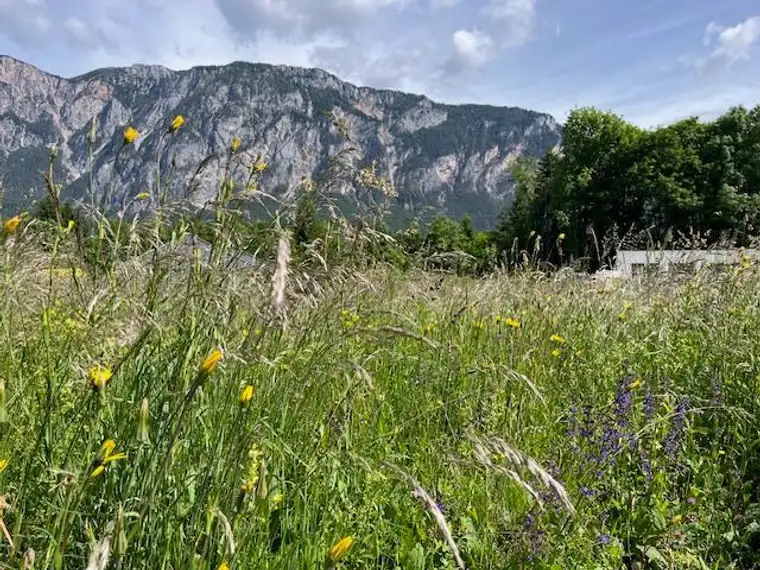 BAUGRUNDSTÜCK in absoluter Traumlage
