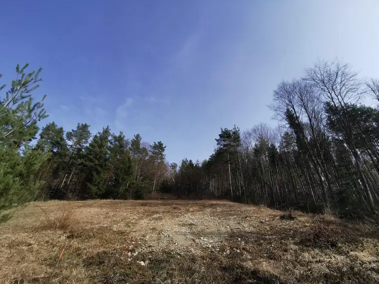 Baugrundstück mit traumhaften Fernblick in ruhiger Lage