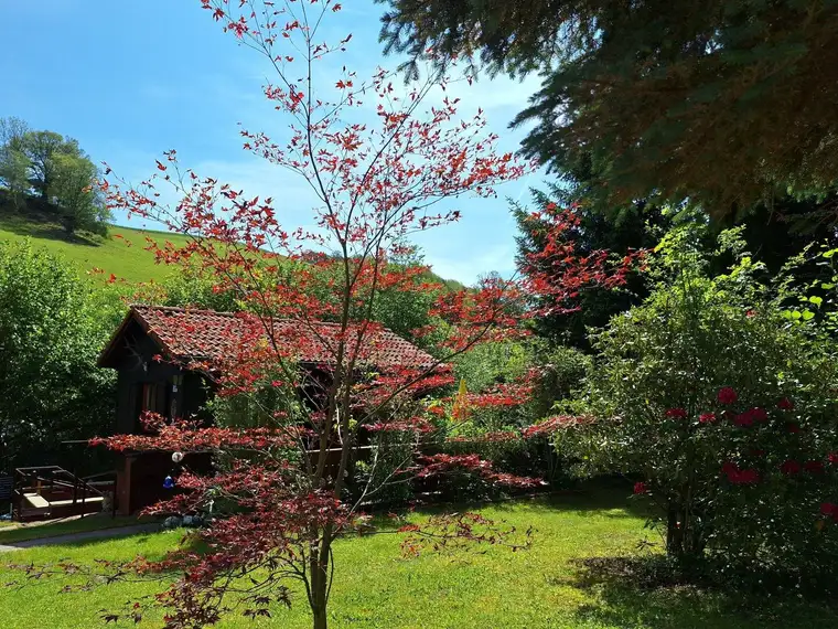 Naturparadies - Erholung pur in Prigglitz