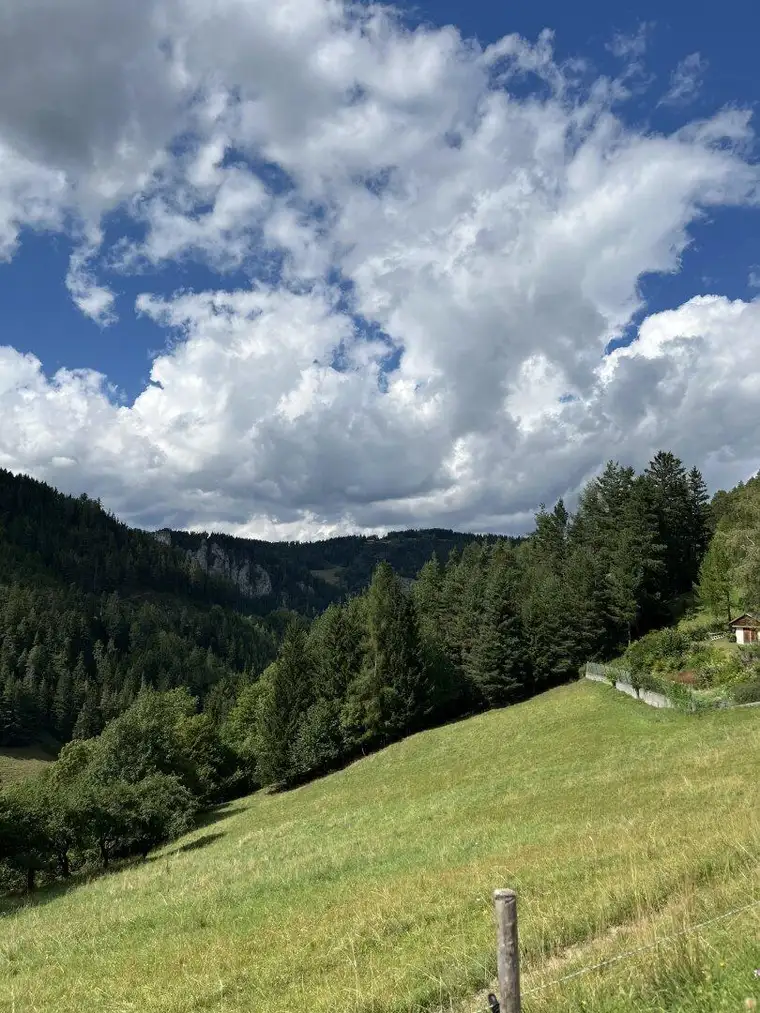 Wohnen, wo andere Urlaub machen – charmante Ferienwohnung am Semmering