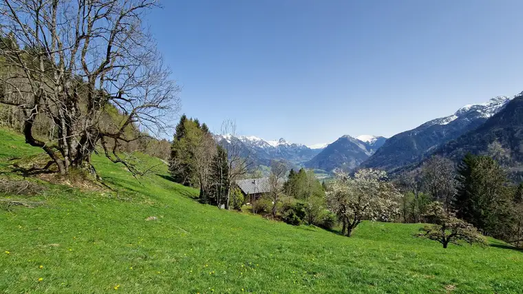 Grundstück mit Ferienhauswidmung zu verkaufen - 686m²