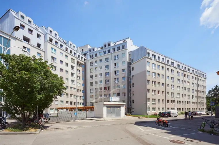 Nicolas Büttner, Moritz Immobilien