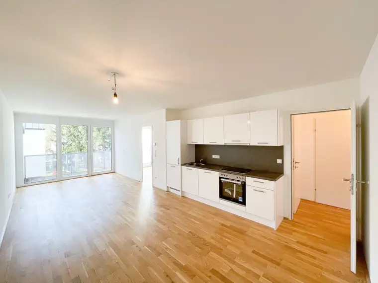 Nicolas Büttner, Moritz Immobilien