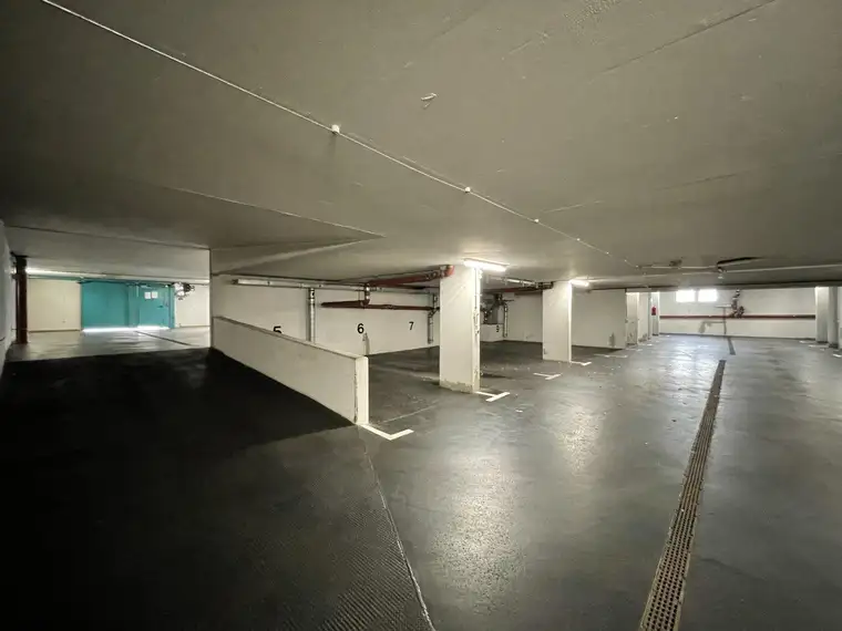 Julia Koch, Moritz Immobilien