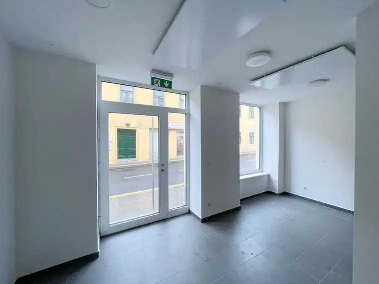 Julia Koch, Moritz Immobilien