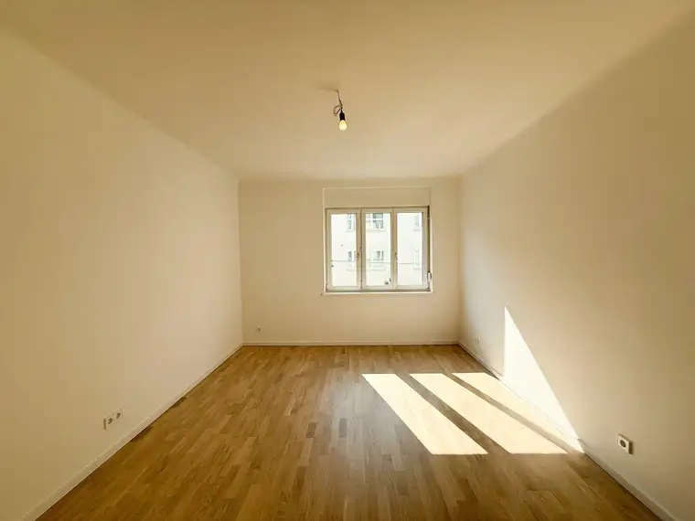 Nicolas Büttner, Moritz Immobilien