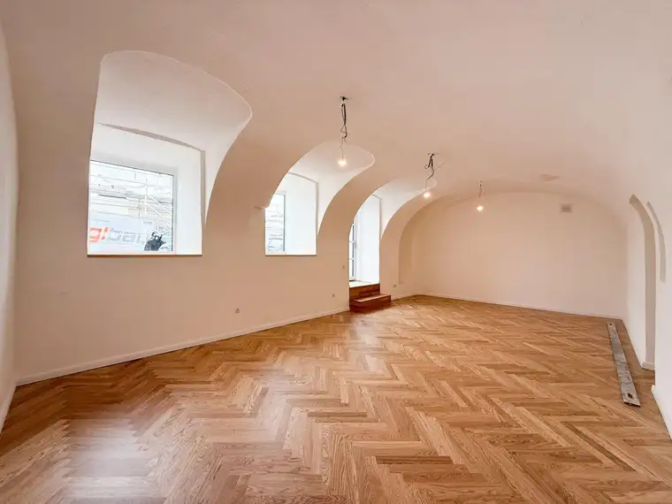 Gewerbefläche in TOP LAGE in 1090 Wien zu vermieten