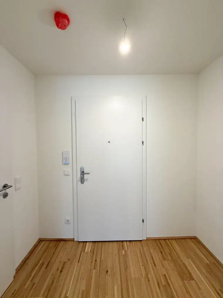 Nicolas Büttner, Moritz Immobilien