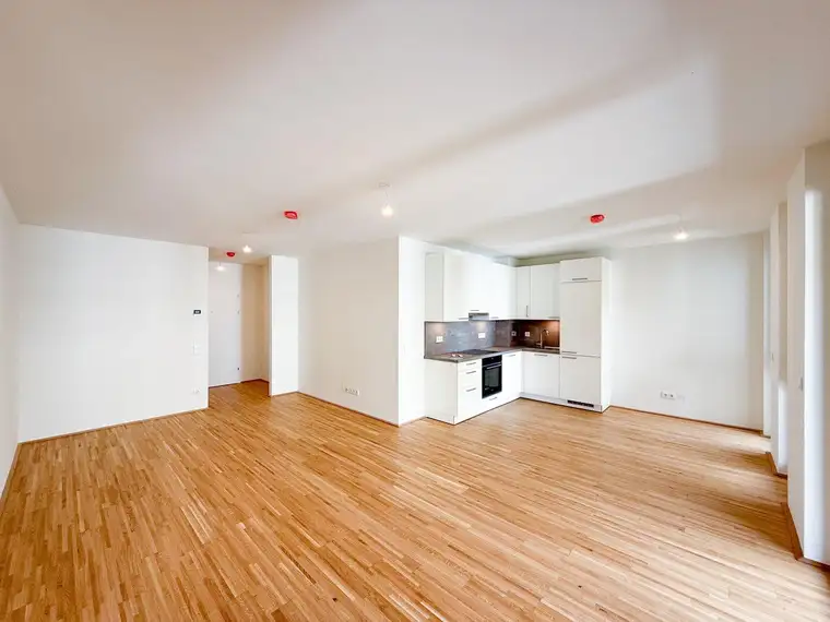 Nicolas Büttner, Moritz Immobilien