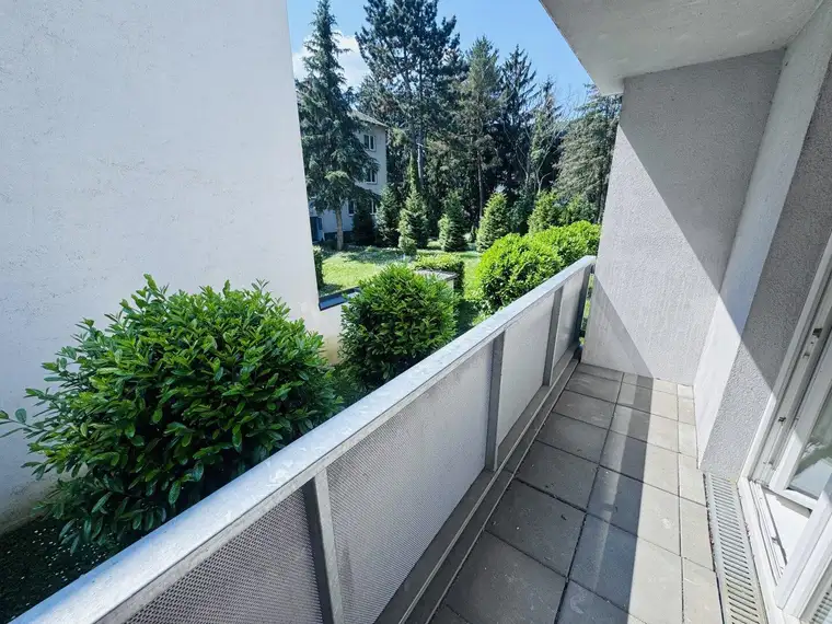 Julia Koch, Moritz Immobilien