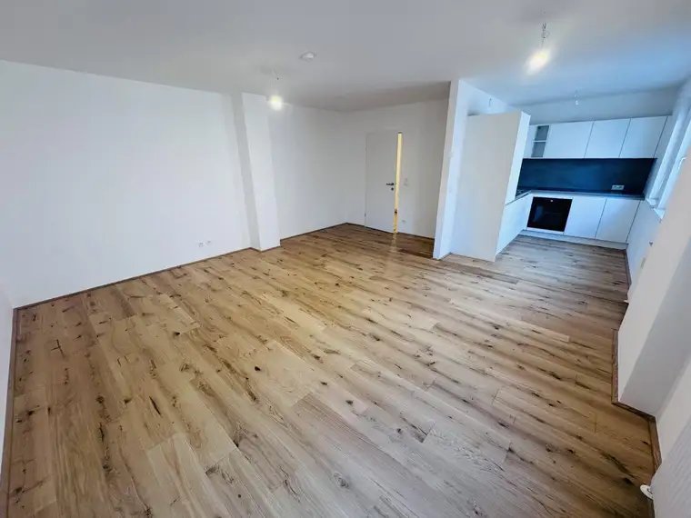 Julia Koch, Moritz Immobilien