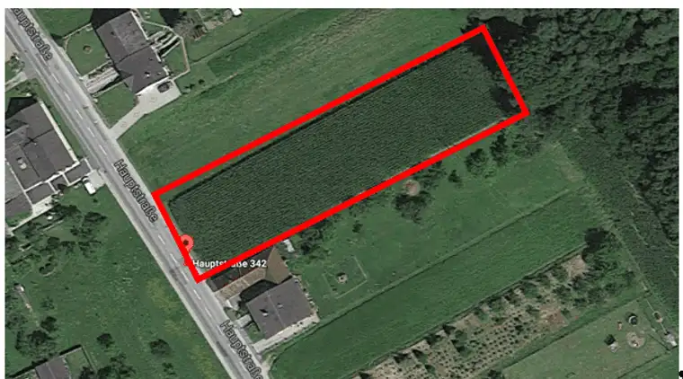 Baugrundstück in Stinatz mit 2500 m² sofort verfügbar