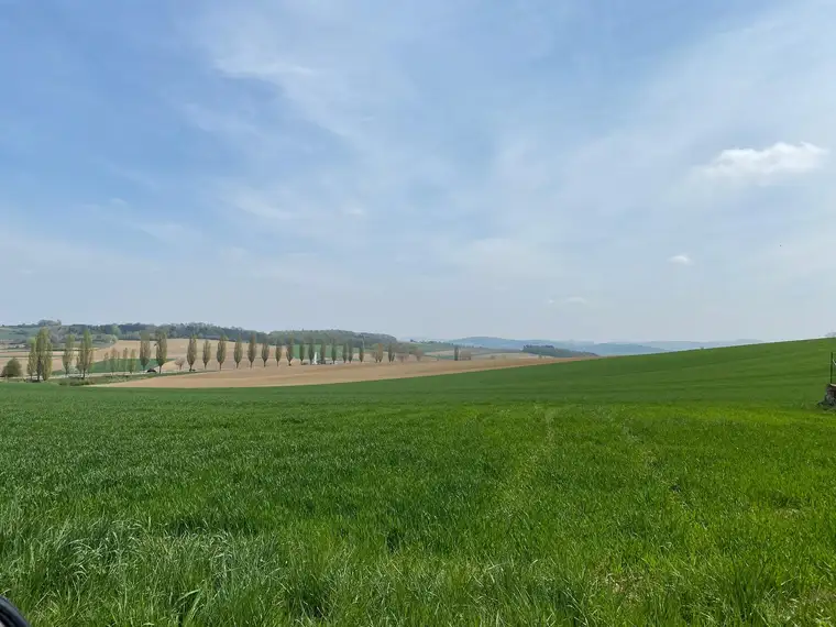 Grundstück mit sensationellem Weitblick über das Tullnerfeld