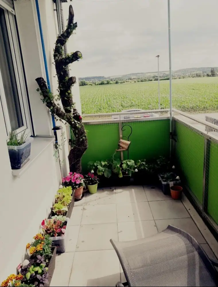 Wohnung mit Balkon im schönen Tullnerfeld